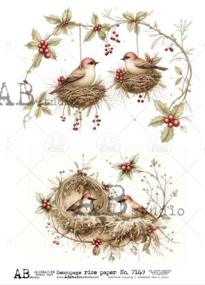 A4 Winter Nesting Birds AB Studios 7169