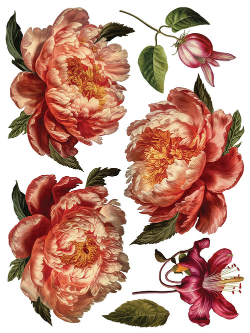 COLLAGE DE FLEURS , Rub on Transfer 12" x16" Pad, 8 pages