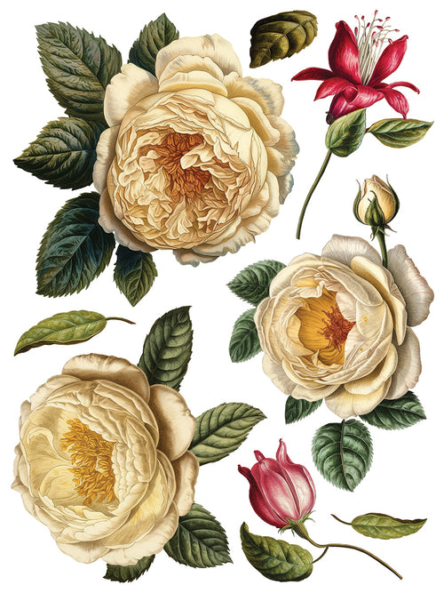 COLLAGE DE FLEURS , Rub on Transfer 12" x16" Pad, 8 pages