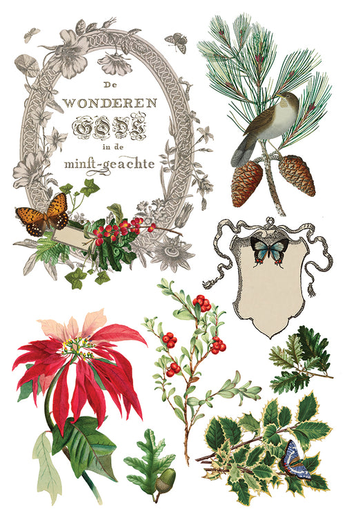 IOD Winter Botanist Rub on Christmas Transfer , Rub on Transfer 12" x 8" Pad.