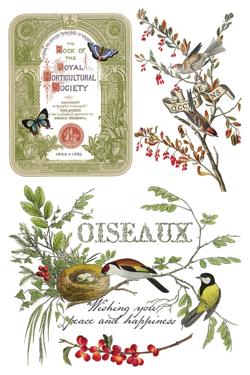 IOD Winter Botanist Rub on Christmas Transfer , Rub on Transfer 12" x 8" Pad.