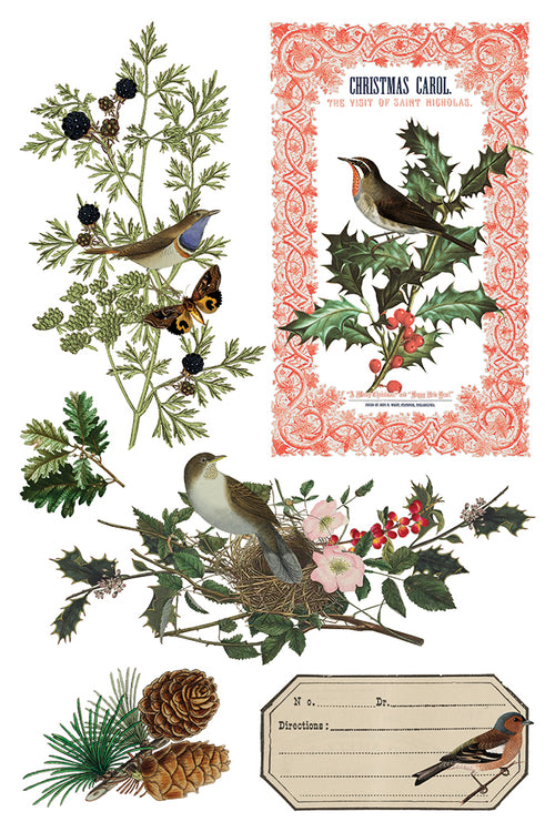 IOD Winter Botanist Rub on Christmas Transfer , Rub on Transfer 12" x 8" Pad.