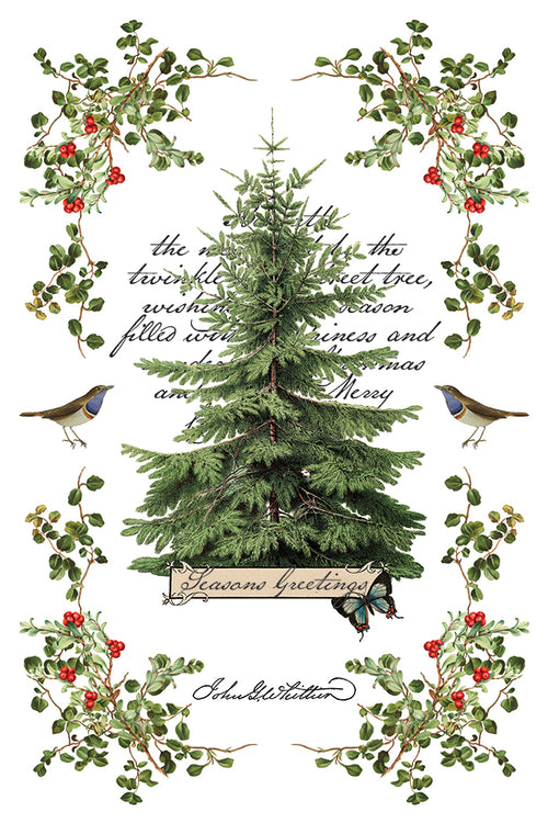 IOD Winter Botanist Rub on Christmas Transfer , Rub on Transfer 12" x 8" Pad.
