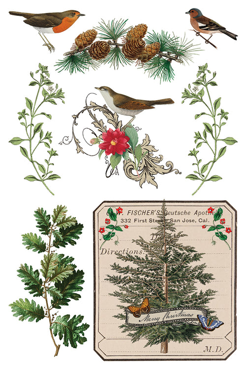 IOD Winter Botanist Rub on Christmas Transfer , Rub on Transfer 12" x 8" Pad.