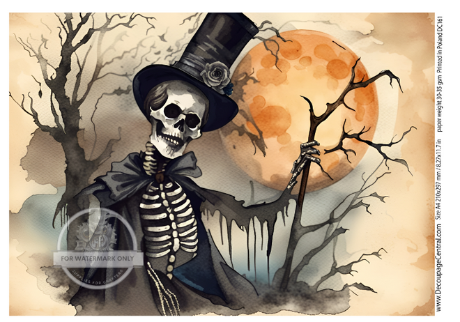 A4 Skelly Rice Paper DC161