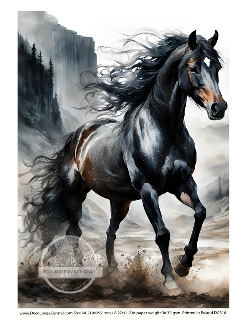 A4 The Stallion Decoupage Rice Paper DC316