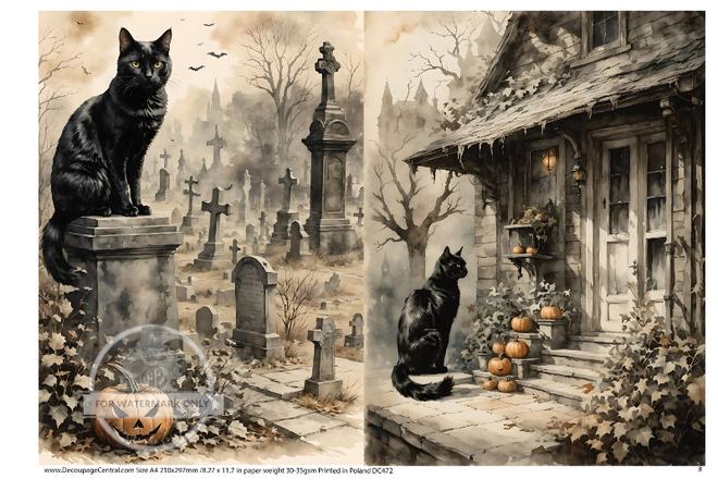 A4 Halloween Black Cat Duo Rice Paper DC472