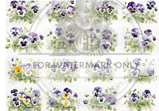 DIGITAL IMAGE: Pansies Multi