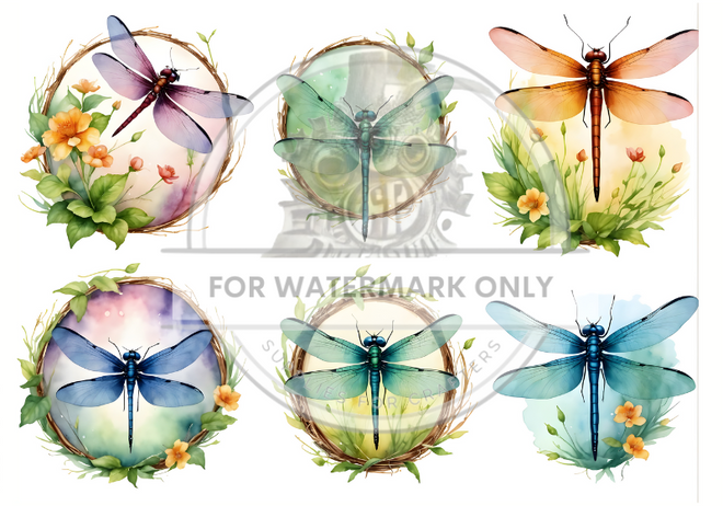DIGITAL IMAGE: Dragonfly Circles Multi