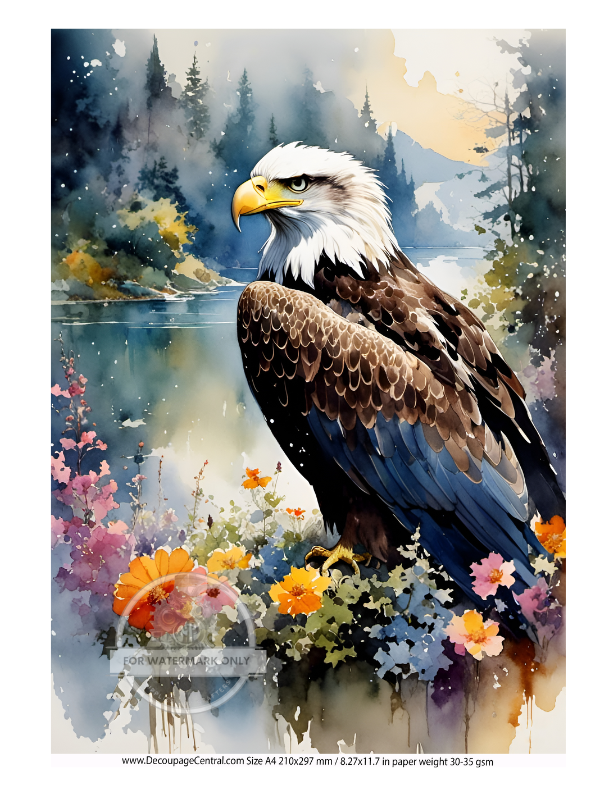 DIGITAL IMAGE: Eagle Instant Download