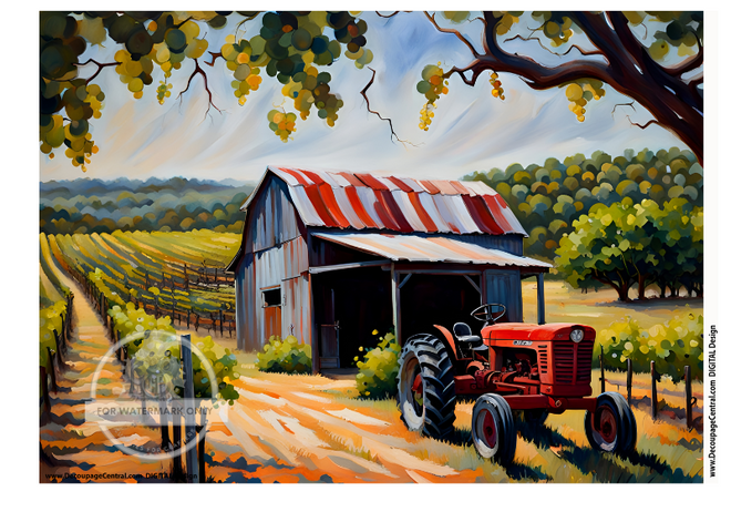 DIGITAL IMAGE: Napa Instant Download