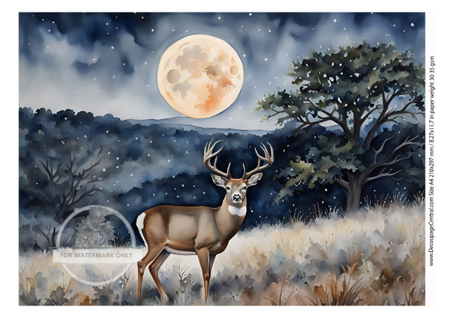 DIGITAL IMAGE: The Buck Instant Download