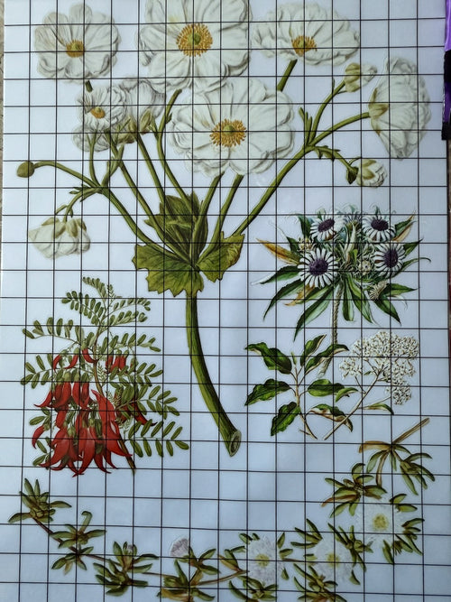 NEW IOD Sarah Featons Botanicals , Rub on Transfer 12" x 8" Pad.