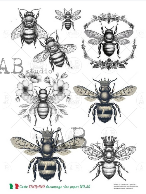 A4 Queen Bee Carte Italiano 59