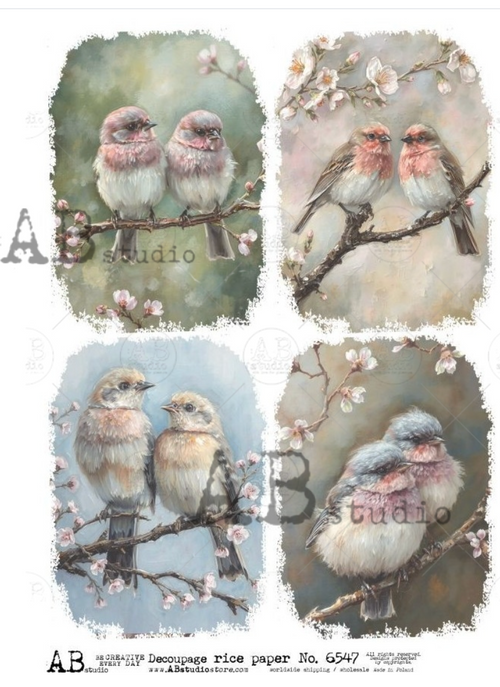 A4 Birds n Blossoms QUAD AB Studios 6547