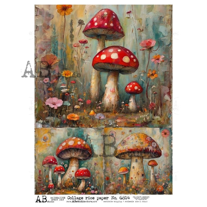 A4  Fabulous Mushroom Trio AB Studios 6814