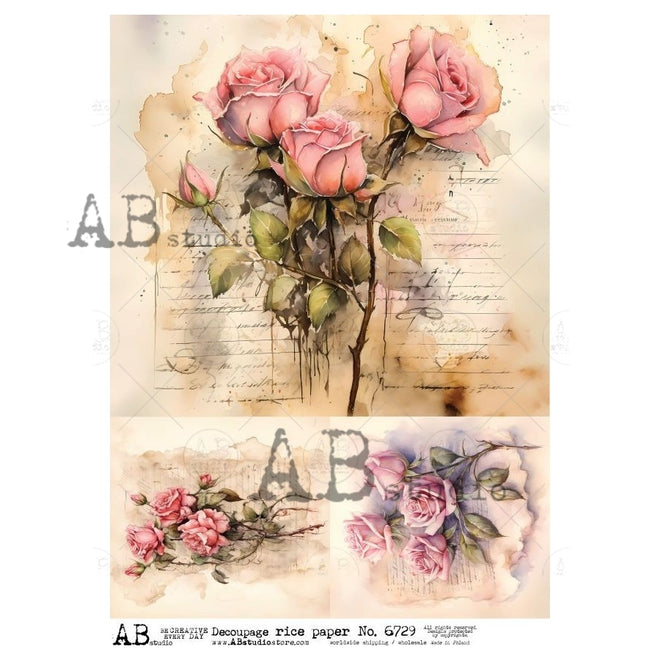 A4 Blushing Garden Rose AB Studios 6729