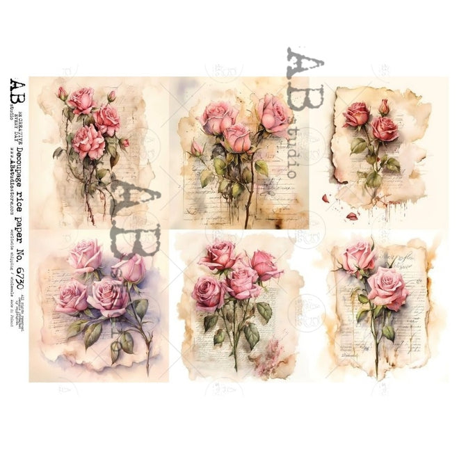 A4 Blushing Garden Rose MULTI AB Studios 673O
