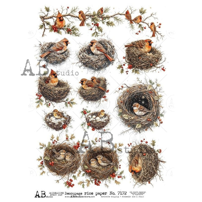 A4 Cardinal Nests & Winter Sprigs AB Studios 7172