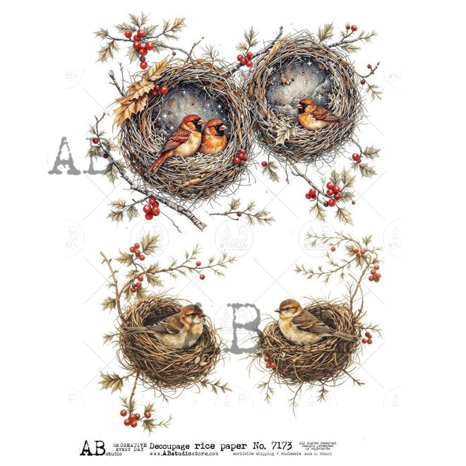 A4 Winter Cardinal Nests AB Studios 7173