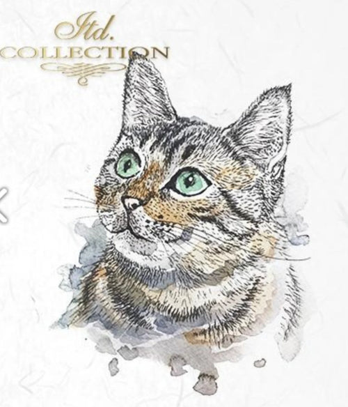 Cat and Dog, ITD Mini Decoupage Set: 5.8 inch/6 pages