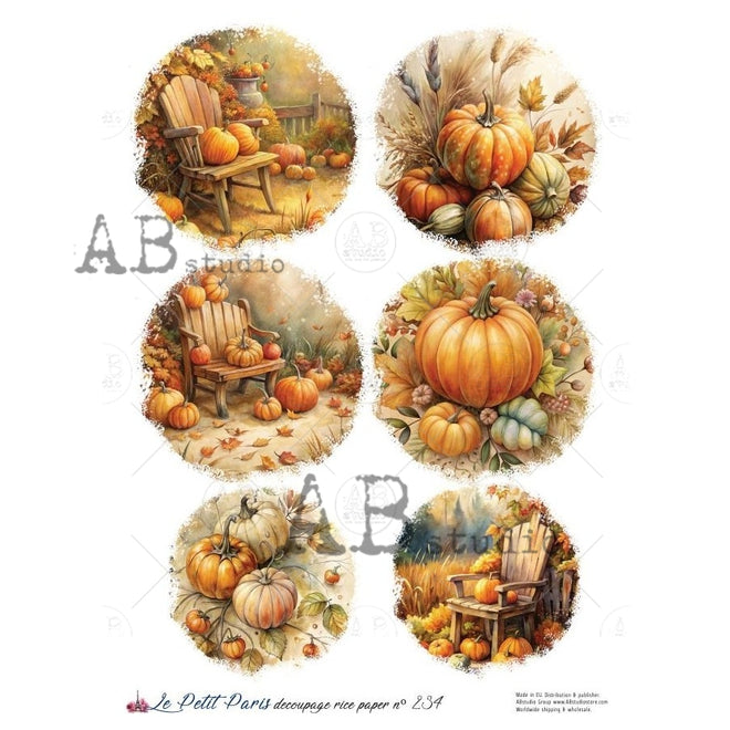 A4 LPP Pumpkin Porch Rounds Paper Le Petit Paris 234
