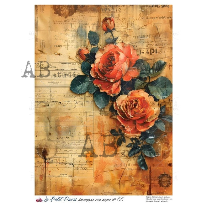 A4 LPP Crimson Ledger Le Petit Paris 66