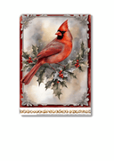 Cardinals - Decoupage Central