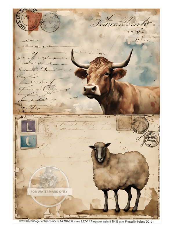 Carte Postale - Decoupage Central