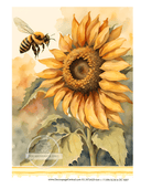Sunflower - Decoupage Central