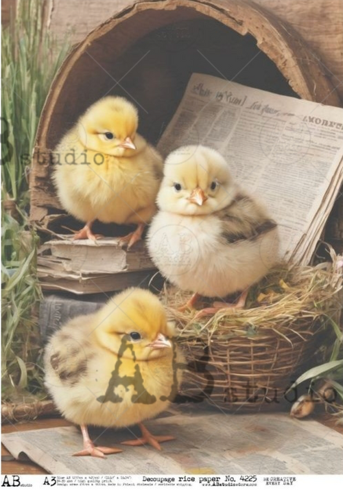 A3 Newspaper Chicks Rice Paper, AB Studios 4225