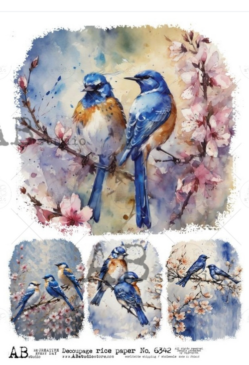 A4  Blue Birds Quad AB Studios 6342