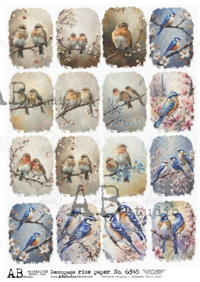 A4 Birds on a Branch Multi AB Studios 6345