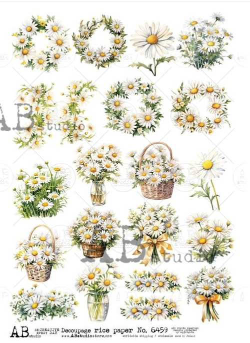 A4 Spring Daisy Multi  AB Studios 6459