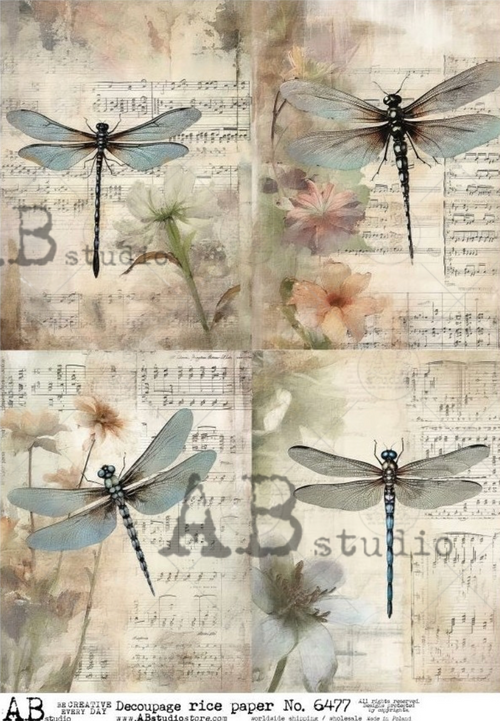 A4 Musical Dragonflies Quad AB Studios 6477