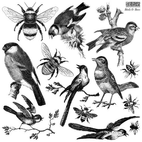 IOD Birds and Bees, Stamp Collection 12"x 12"