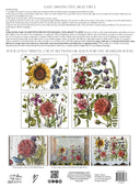 IOD BOTANISTS JOURNAL  Rub on Transfer 12" x16" Pad