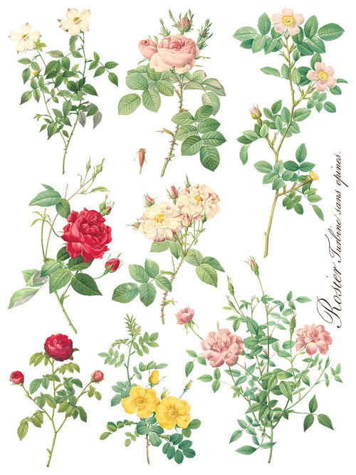 ROSE BOTANICAL  , Rub on Transfer 12" x16" Pad, 8 pages