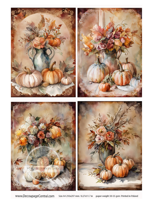 A4  Watercolor Pumpkins 4 design page Rice Paper DC111