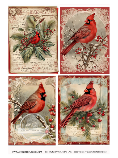 A4 Christmas Cardinal Collection 4 images one page Rice Paper DC115