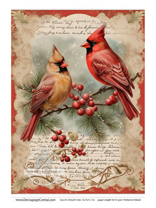 A4 Pair of Christmas Cardinal Rice Paper DC118