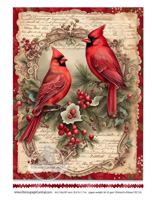 A4 Holiday Cardinals Rice Paper DC153