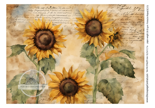 A4 Never Enough Sunflowers Rice Paper DC173