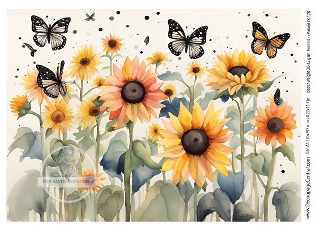 A4 Sunflowers and Butterflies Rice Paper DC178