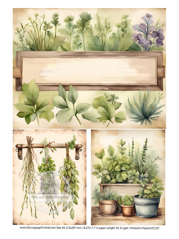 A4 Herb Garden Rice Paper DC237