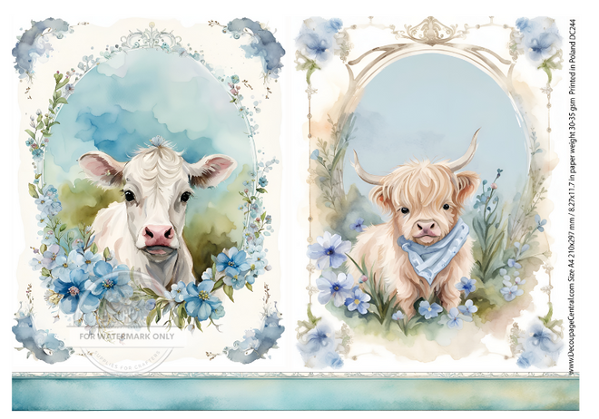 A4  Baby Cows  Rice Paper DC 244