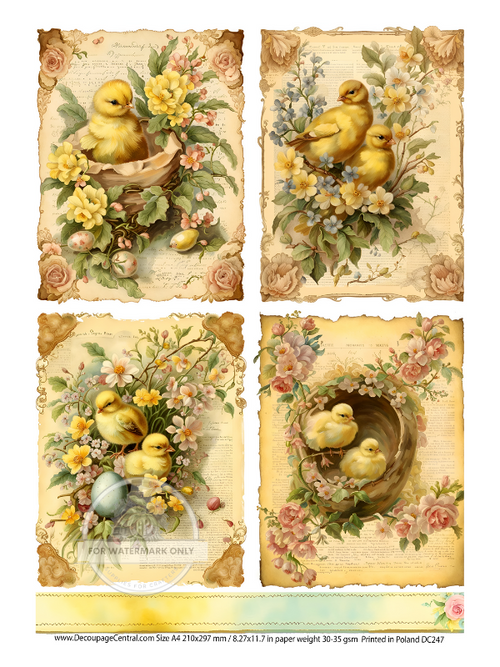 A4 Baby Chicks in Yellow Rice Paper DC247