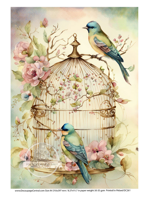 A4 Birdcage and Flowers  Decoupage Rice Paper DC261