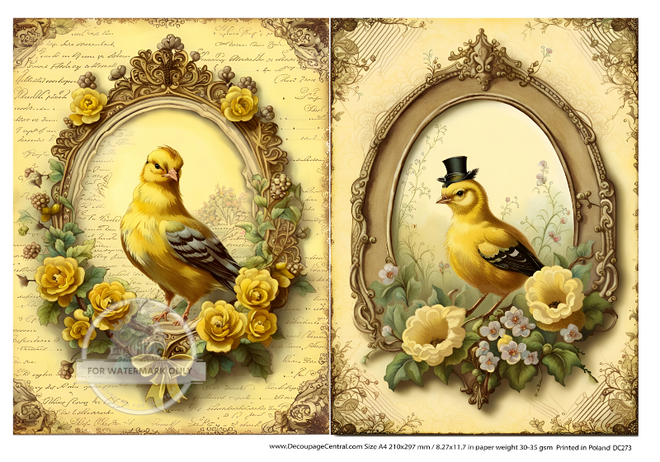 A4 Goldfinch Duo  Rice Paper DC 273