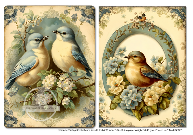 A4 Framed Birds Duo Rice Paper DC 277